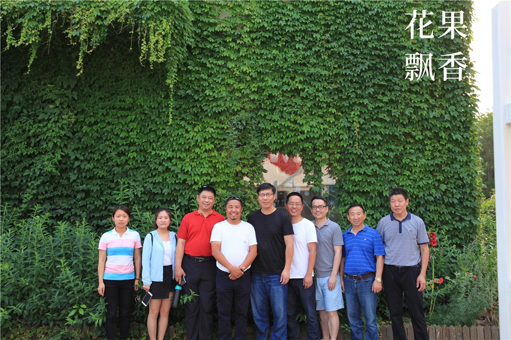 卖文化，卖创意，这家以柑橘为主题的农场好不正经