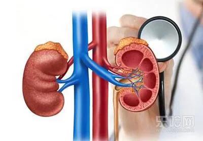 发现潜血应该检查什么,发现尿潜血