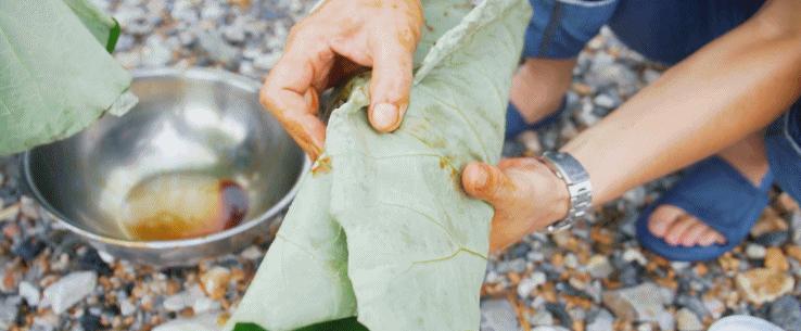 超有鸡味的阳山鸡,广东阳山鸡口感如何