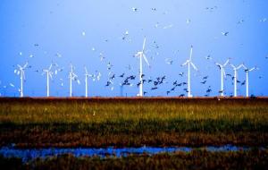 江苏省盐城市近期新闻,江苏盐城城市概况简介