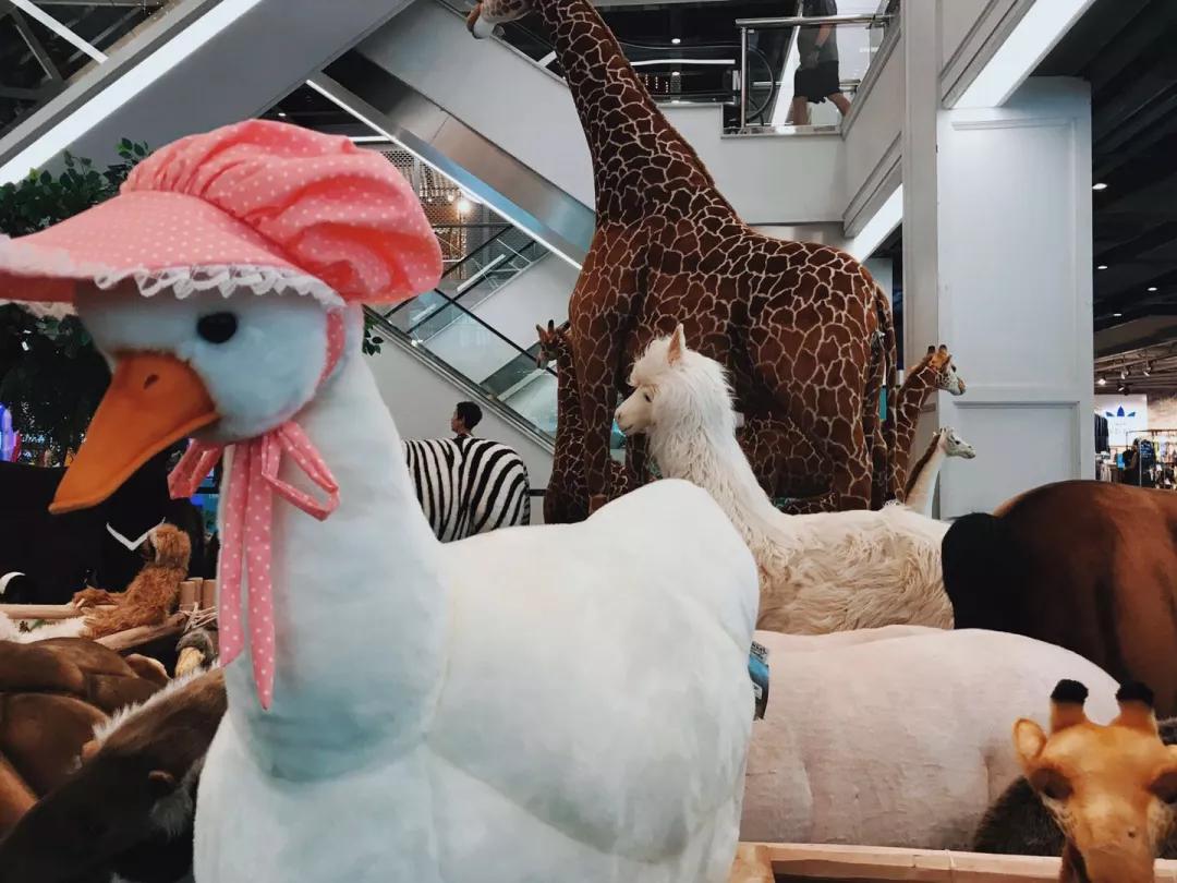 中国泰国风情景区,中国后花园泰国