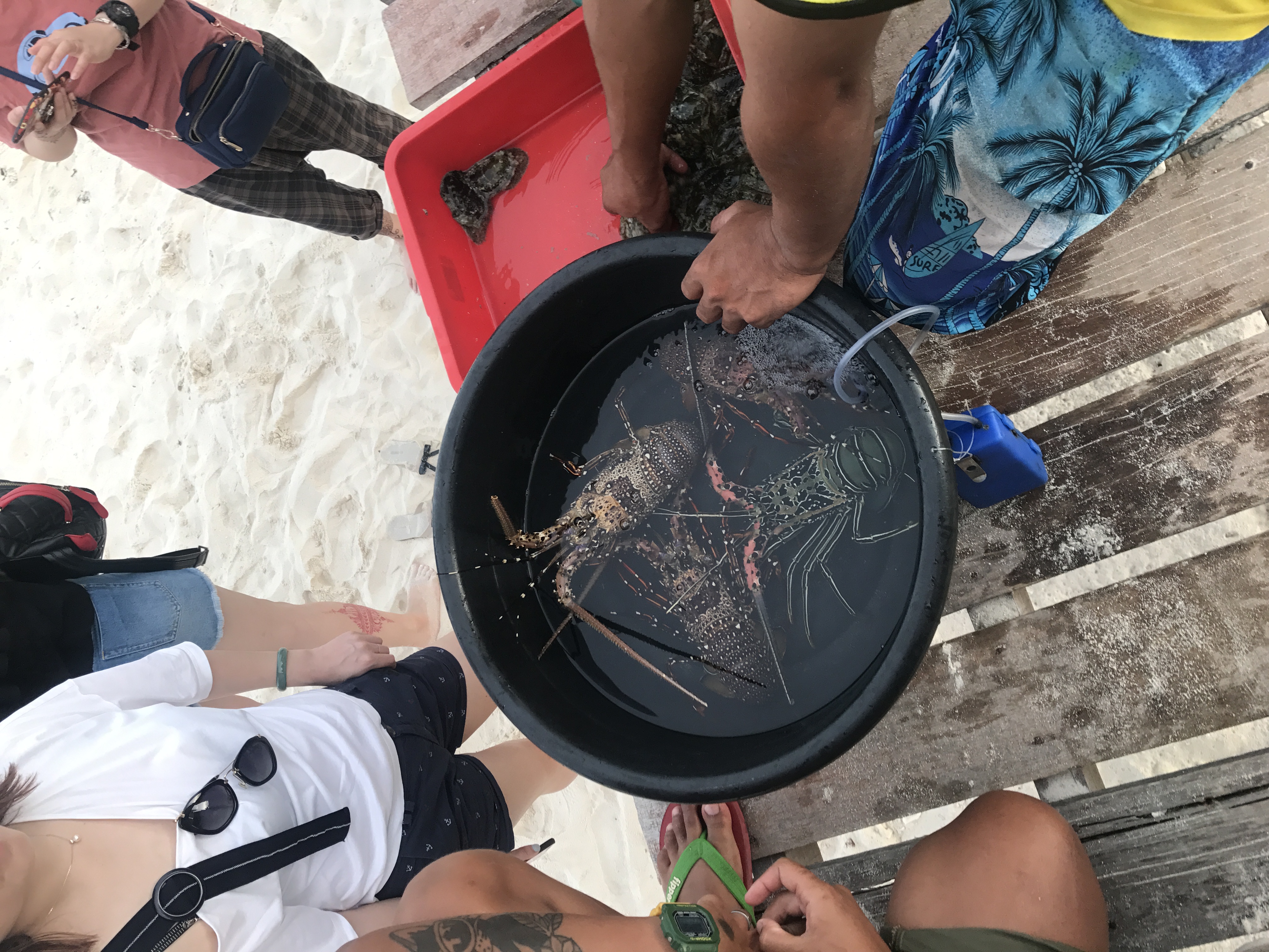 马来西亚沙巴6天5晚浪漫之旅,跟有趣的人在一起玩会有趣