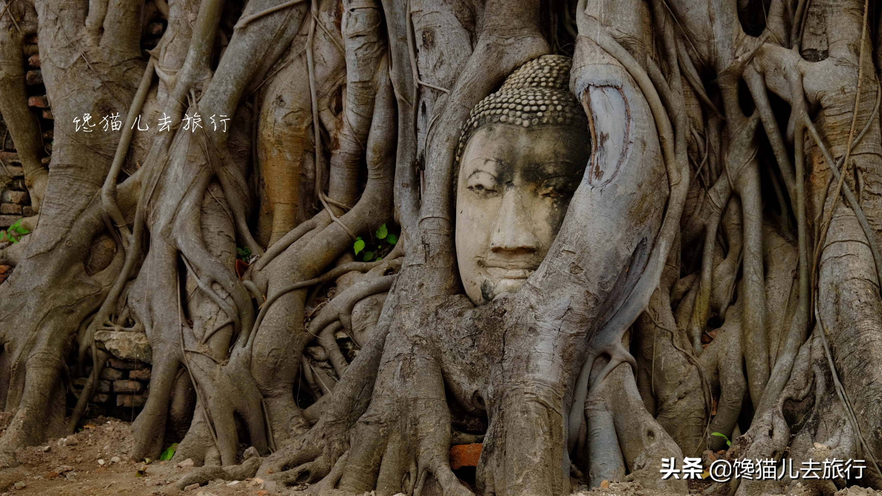 泰国旅游六日游景点推荐,泰国旅游景点攻略自由行路线推荐