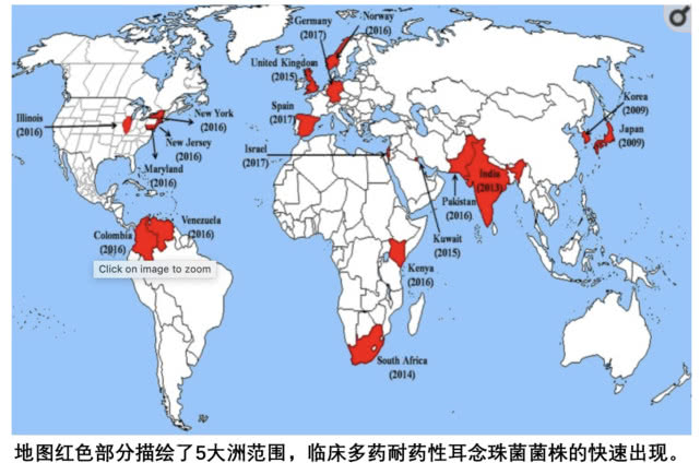 闻臭袜子真会导致真菌感染吗,闻臭袜子会真菌感染导致发烧吗