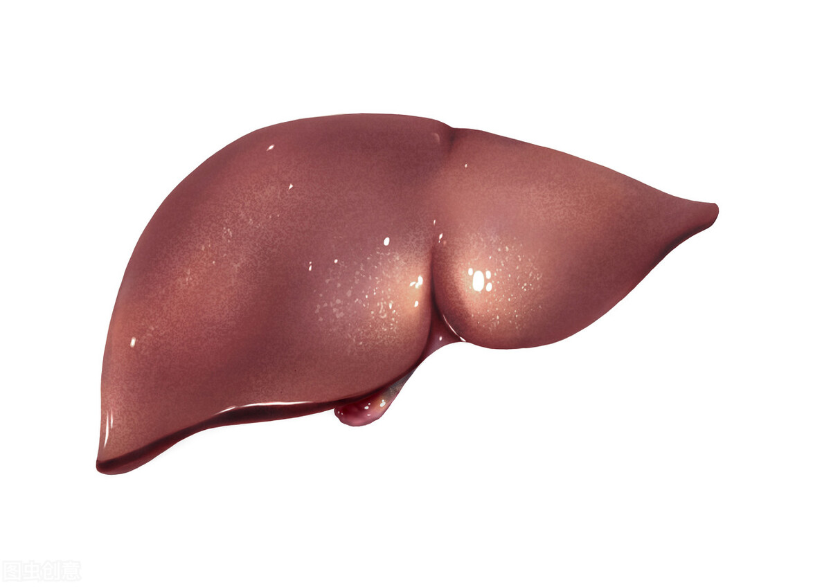 倪海厦谈中医派系,倪海厦怎么判断中医是不是经方派