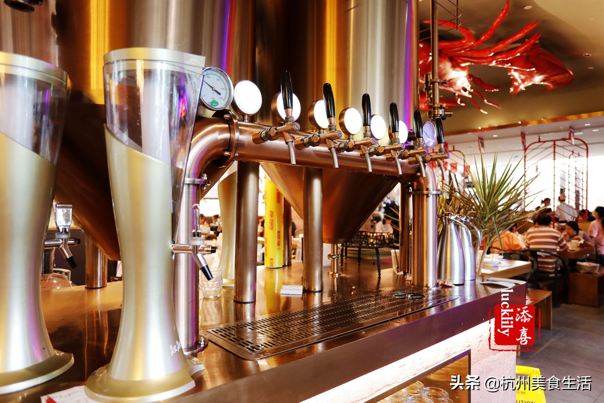 靓靓蒸虾和巴厘小龙虾哪个好吃,小龙虾武汉最好吃