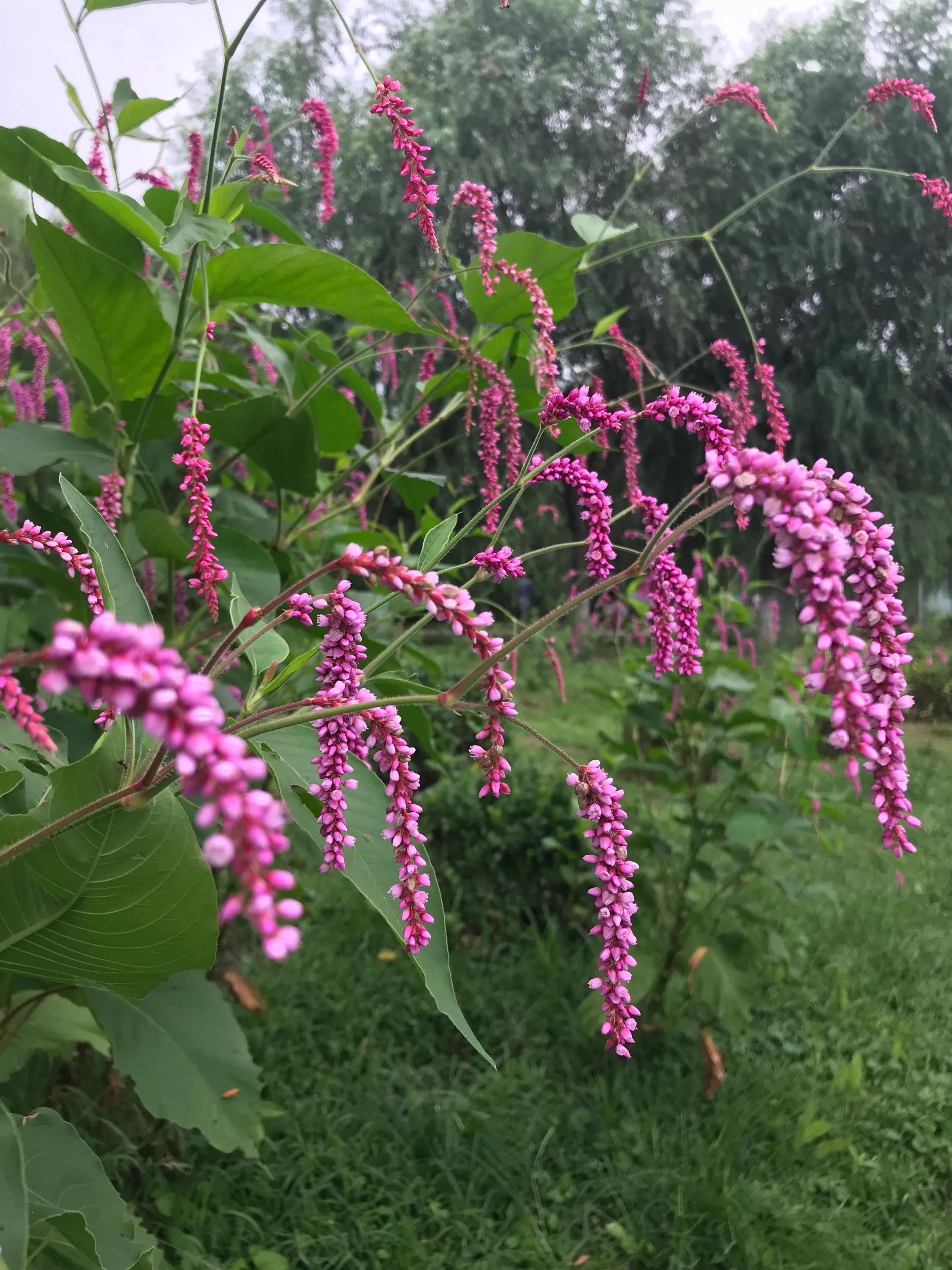 在山上可以露营的小众景区,周边亲子露营游玩好去处推荐