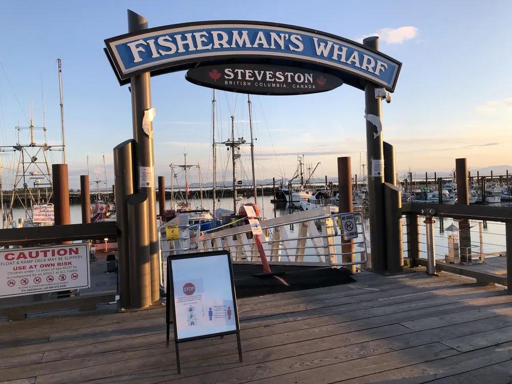 野生斑节虾厦门哪里进货,斑点虾今日价格