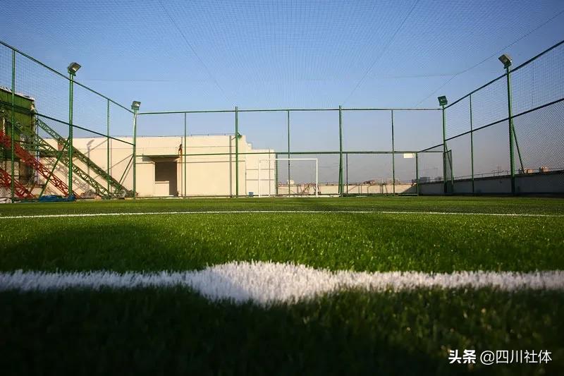 第15届全运会有哪些项目,全运会各个项目排名