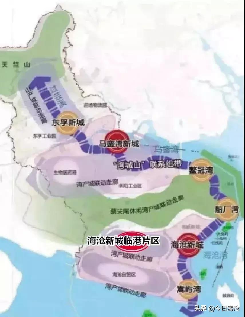 马銮湾对比海沧生活区,海沧马銮湾和临港新城