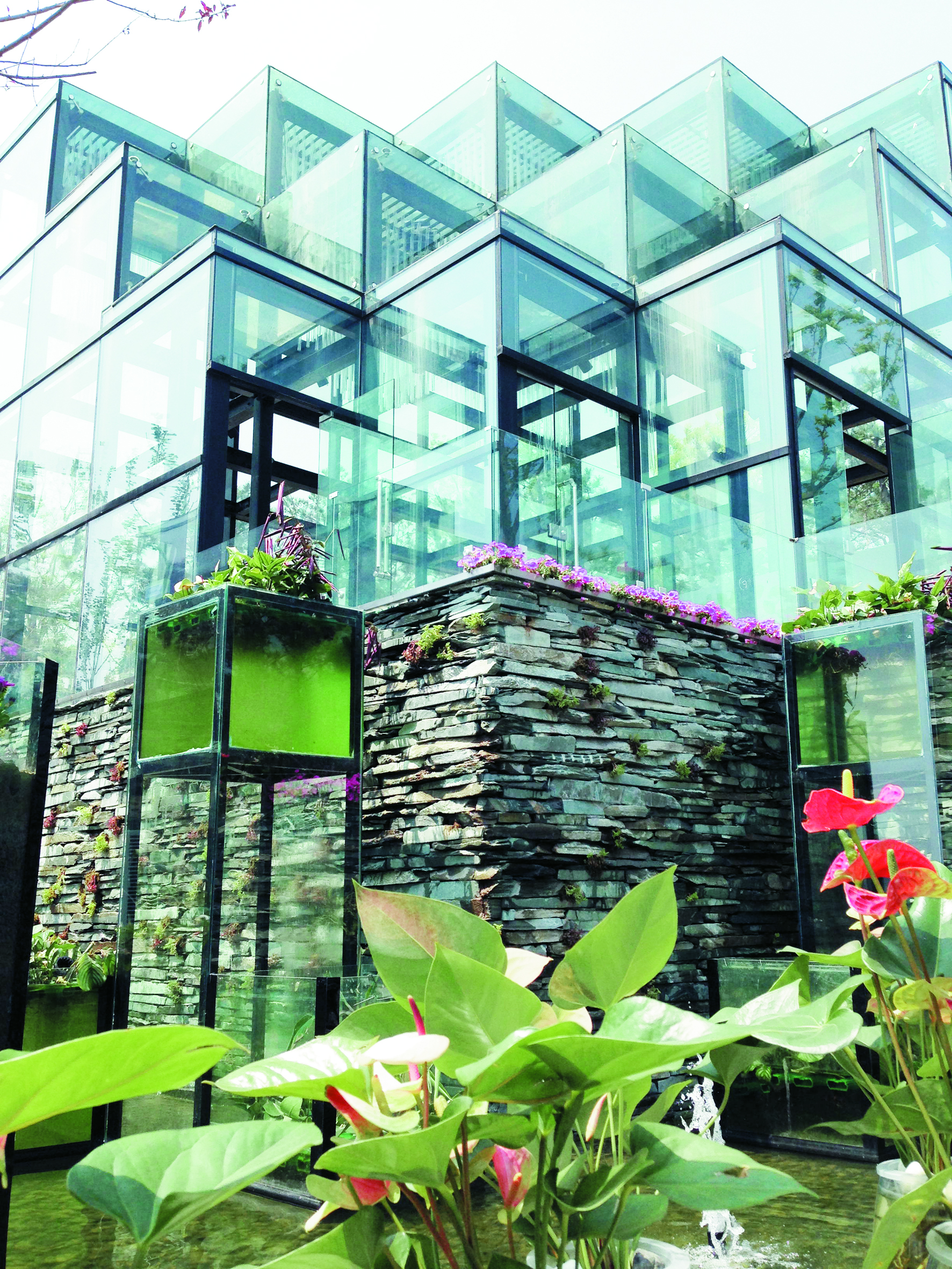 小玻璃盒子里的大生态