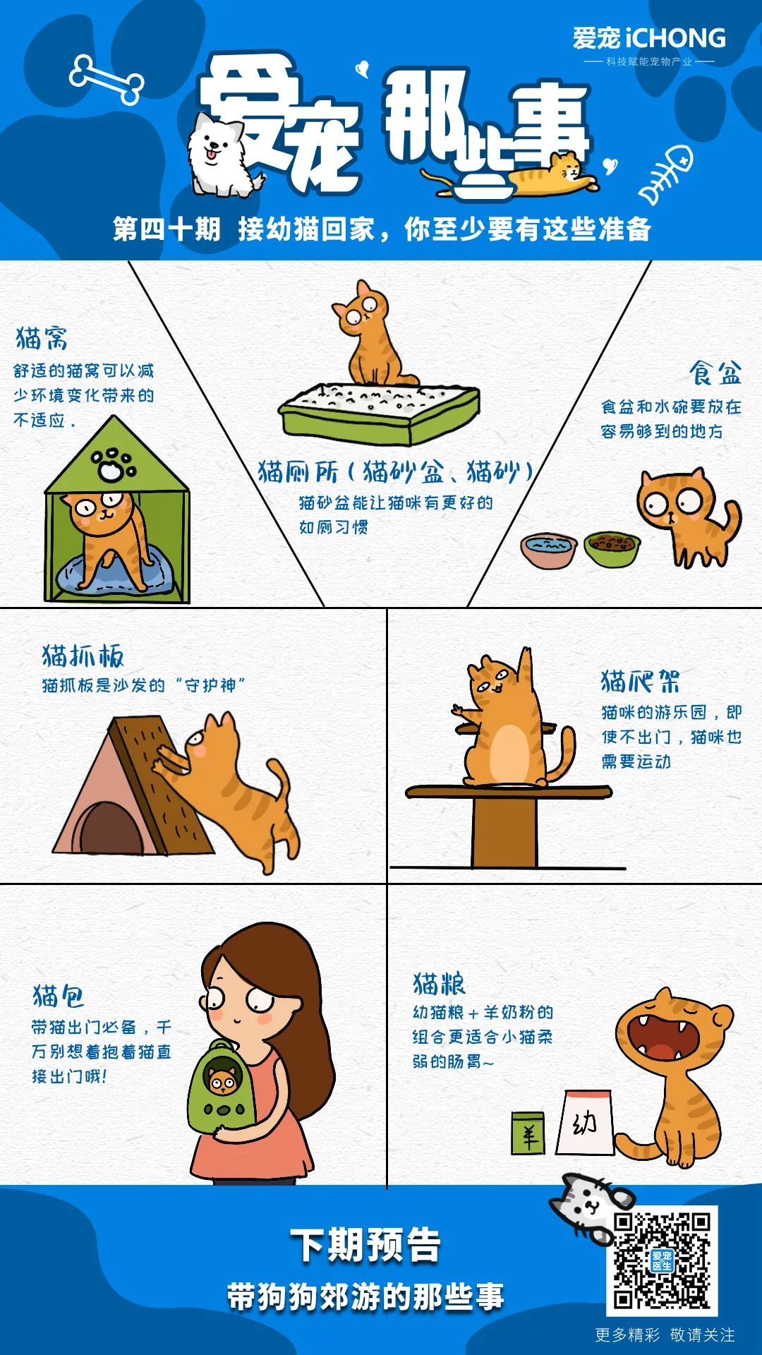 养小猫攻略,养2个月小猫攻略