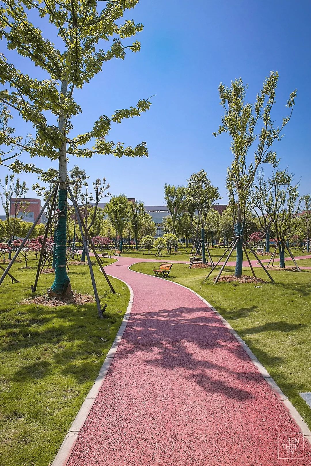 武汉外号,武汉最牛逼的大学