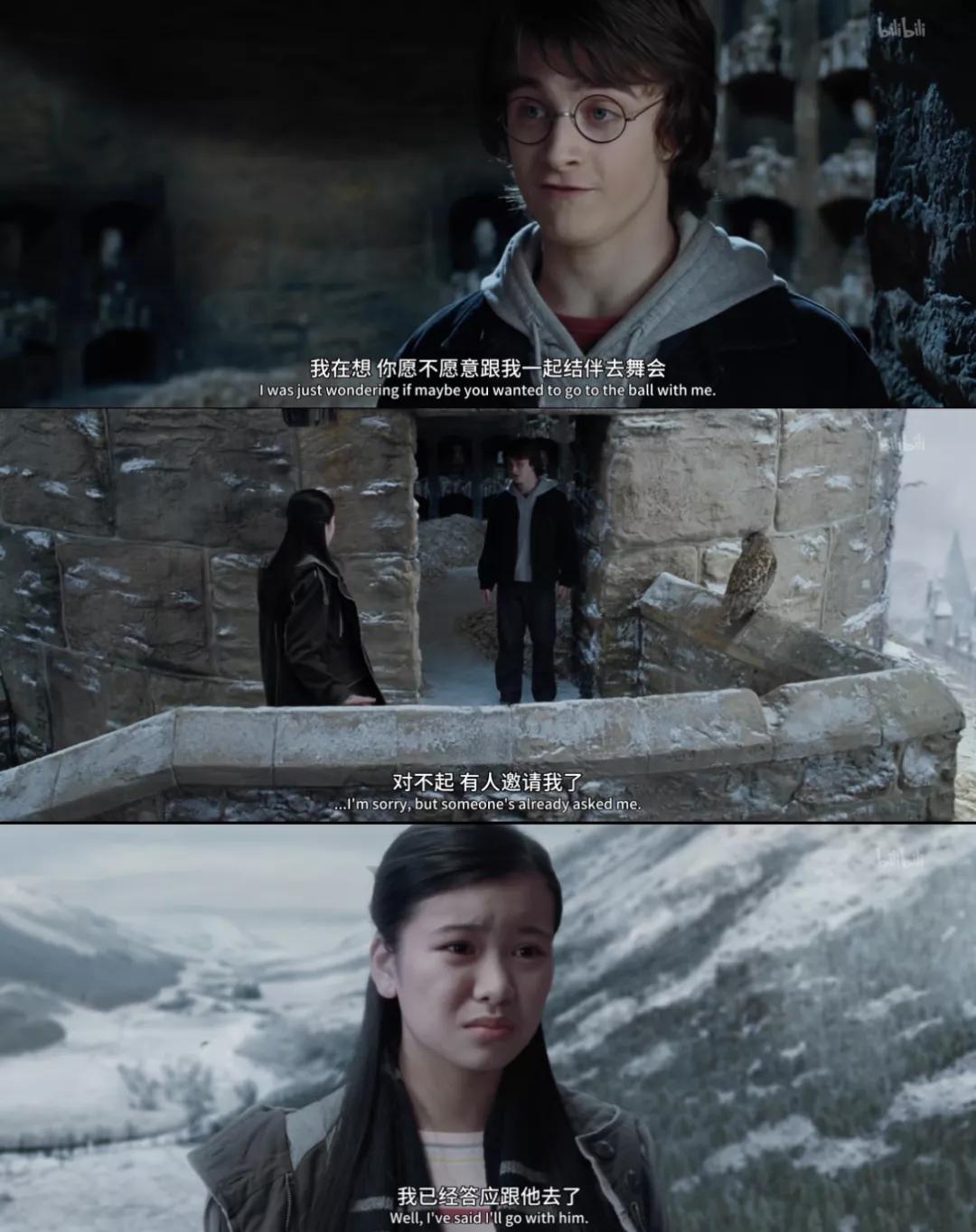 哈利波特的一生,哈利波特人物一生回忆录