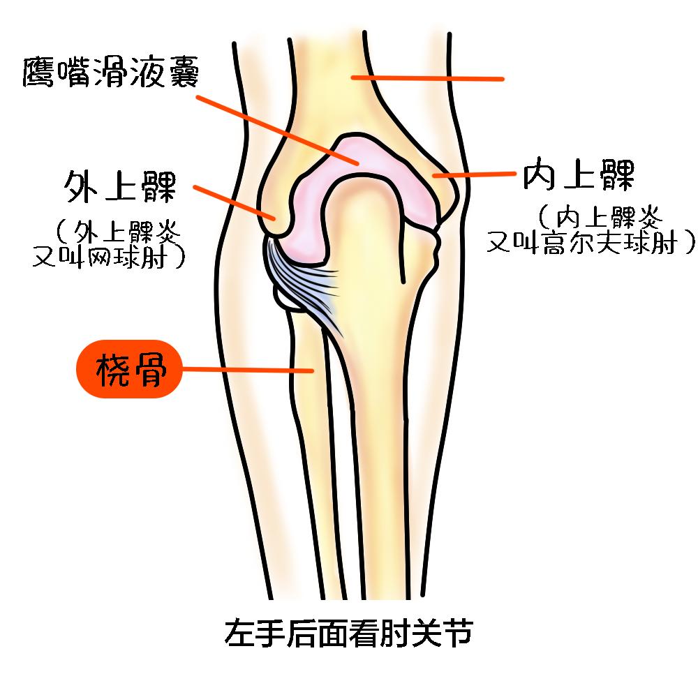 打球贴了肌效贴还用戴护膝吗,打球受伤了感觉不到疼