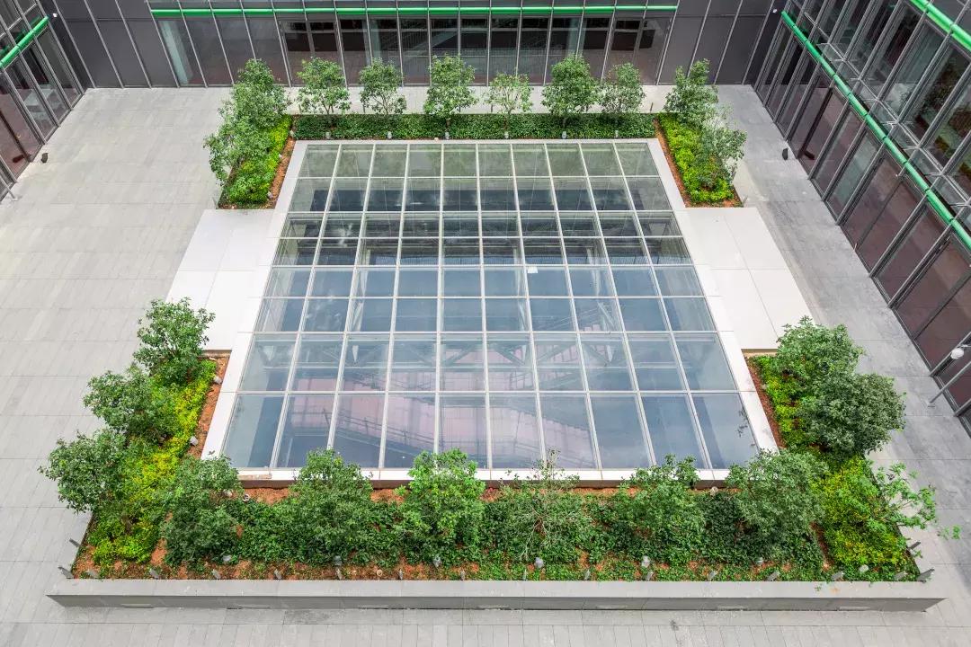 深圳国际幼儿园费用都有哪些,这所深圳国际学校究竟有多硬核