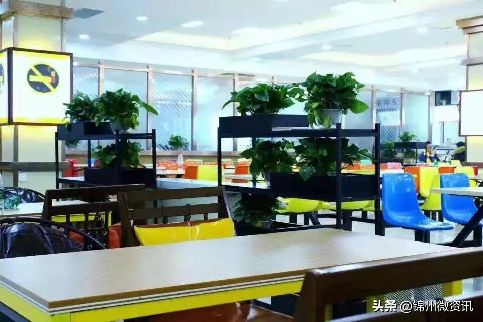 锦州渤海大学!全国最美大学之一!新入学的同学想知道的都在这里