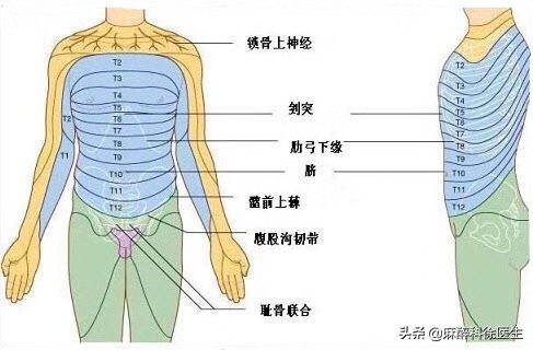 打麻醉是什么体验,半身麻醉多长时间恢复感觉