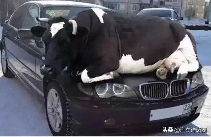 汽车发动机护板有啥好处,家用车到底要不要装发动机护板