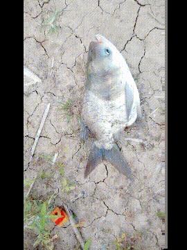 滴滴打车当年烧了多少钱,滴滴打车经历了哪些危机