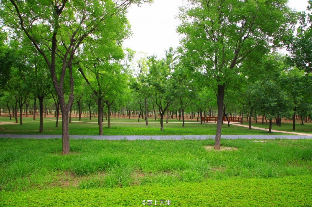 天津南大港乙烯项目,天津最南大港