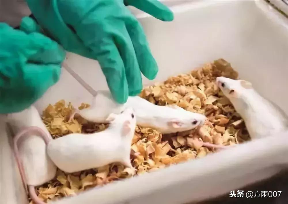 美图社交电商,美团商业模式分析