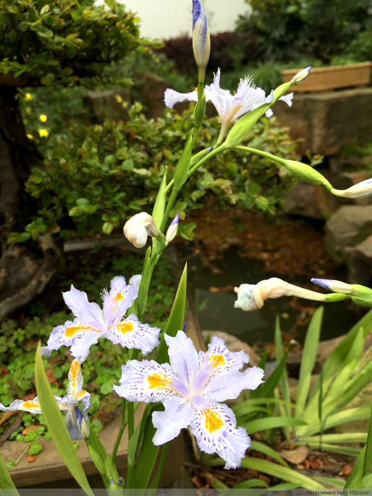 江南第一豪宅薛福成故居,江南第一豪宅无锡