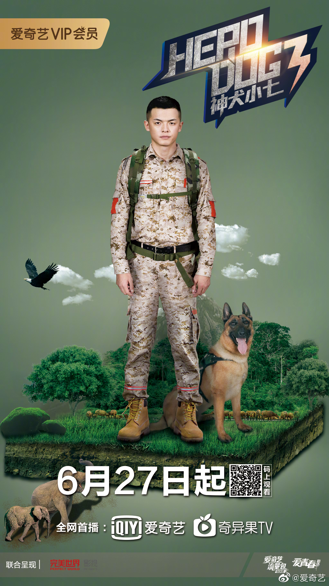 看神犬小七第三季全集,看神犬小七第一季看哭了