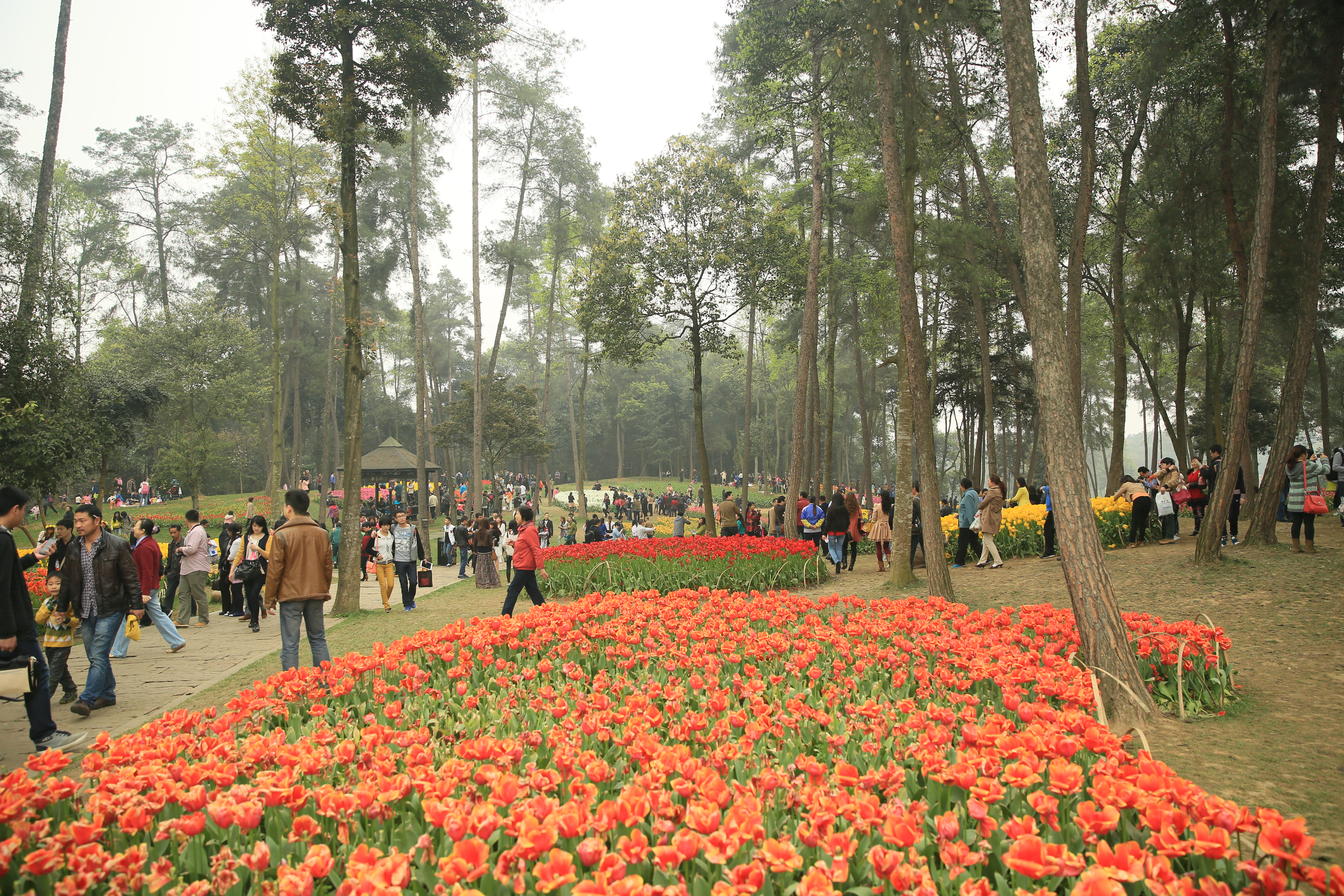 钂叉睙鐭宠薄婀栧ソ鐜╀笉,钂叉睙鐭宠薄婀栧ソ鑰嶅悧