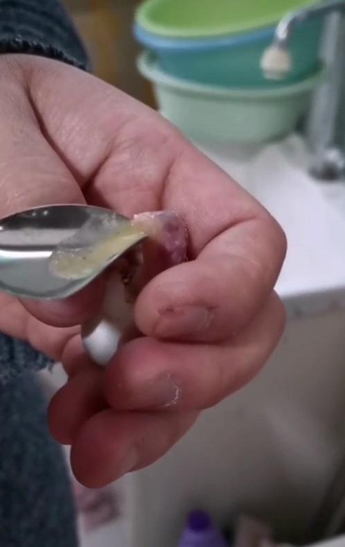 金华鹦鹉案卖家买家羁押一年，投千万证照齐全养殖场1566只鸟死亡损失500万，律师称不顾鸟死活有悖保护初衷