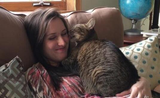 猫咪喜欢舔塑料是什么原因,洗完头猫咪喜欢舔主人头发