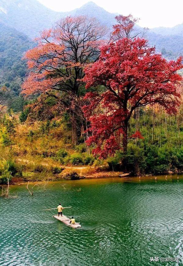 广东粤北最美公路,粤北最美的国道是哪条线