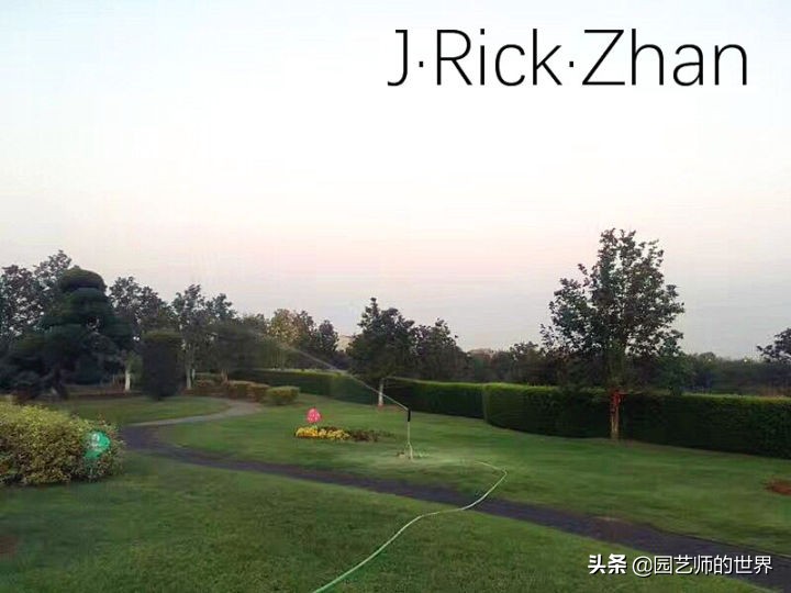 怎么种植草坪不长杂草,如何养好草坪