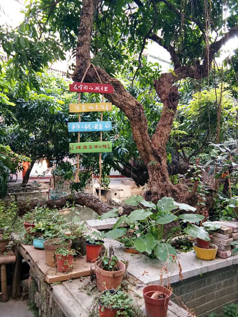 广州的岭南古村寨,岭南小洲村在哪里