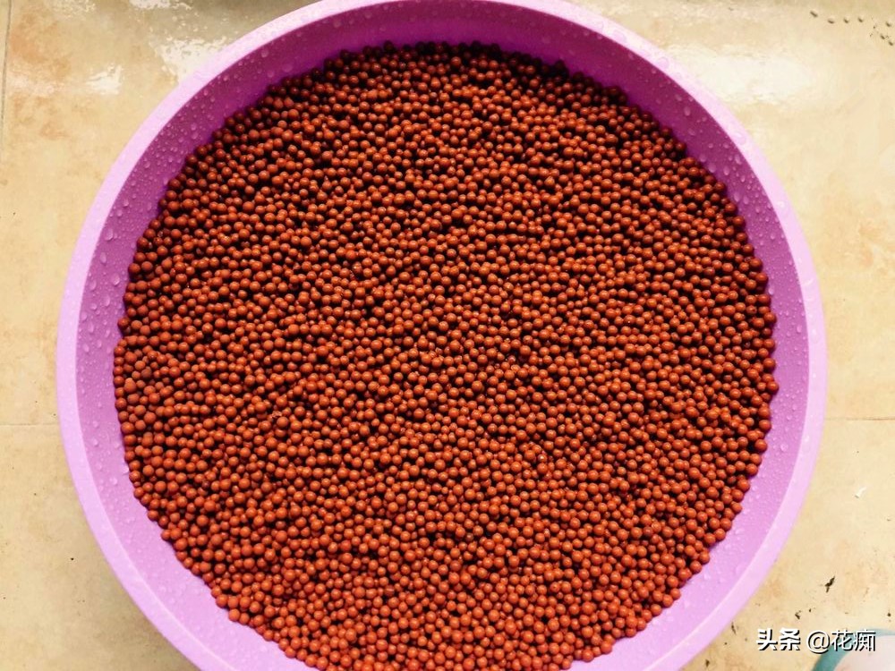 花生芽怎么吃才安全才营养,花生芽怎么生视频