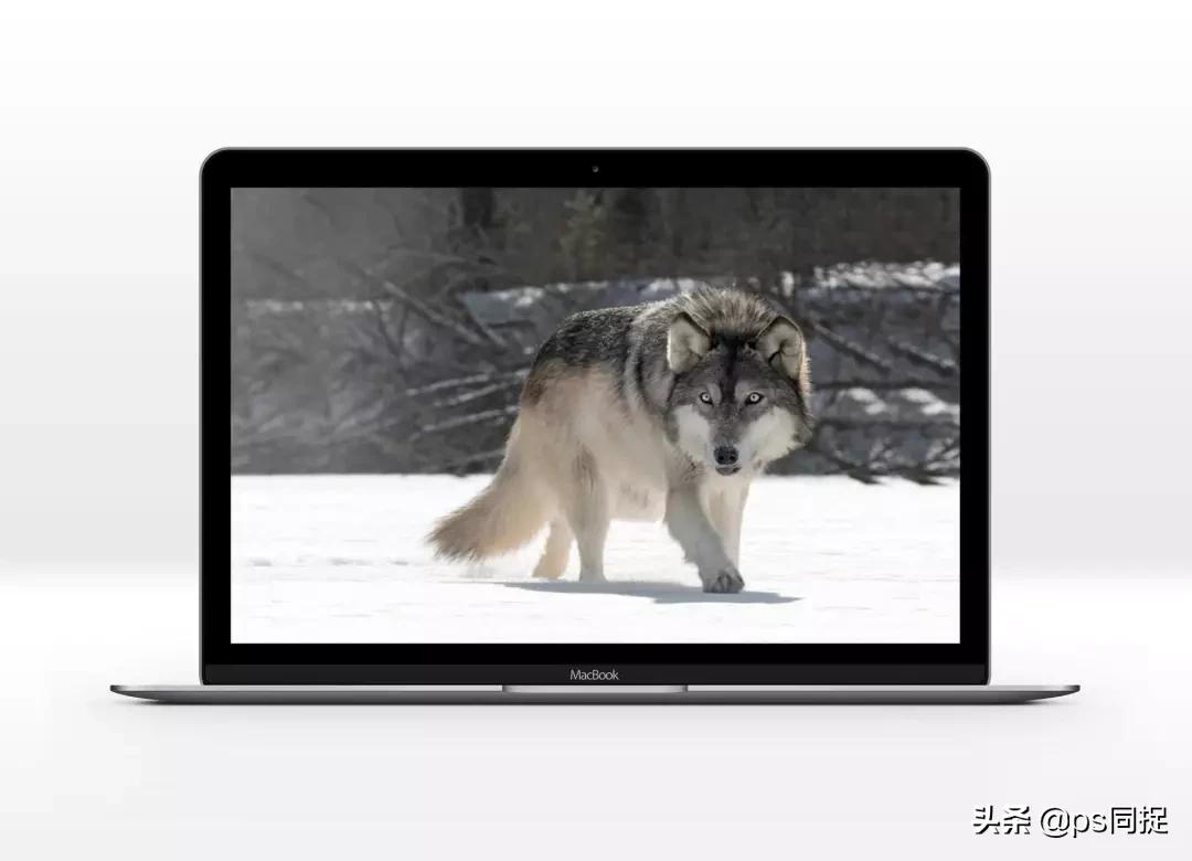 jpg图片批量裁切,如何快速批量裁切图片