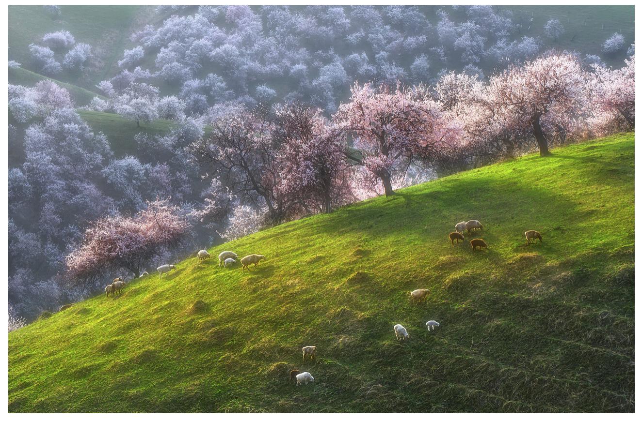 提高审美推荐十大自然风光摄影师,十大良心风光摄影师