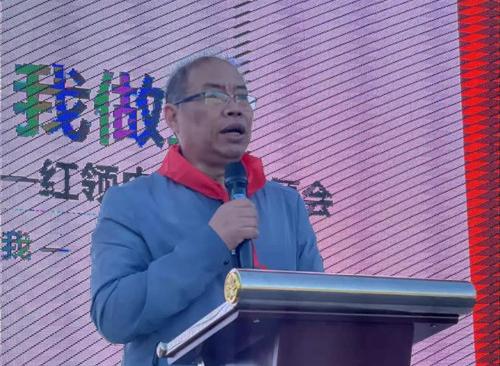 小学请党放心强国有我班会活动,小学请党放心强国有我活动方案