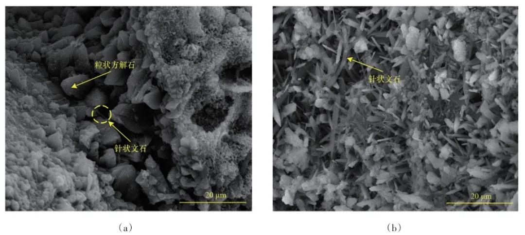 珊瑚礁灰岩,珊瑚石灰岩的构造类型