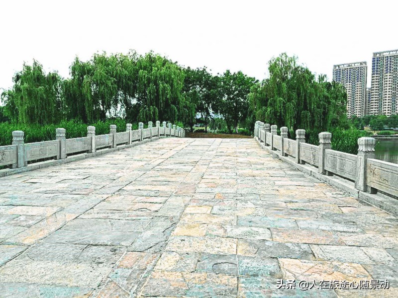 南京面积最大的公园，美不胜收却被游客忽略