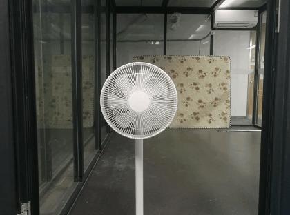 各种除甲醛方法大pk,除甲醛方法哪个更靠谱