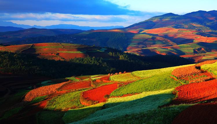 香格里拉的风景真好看,香格里拉的景色真的是太美