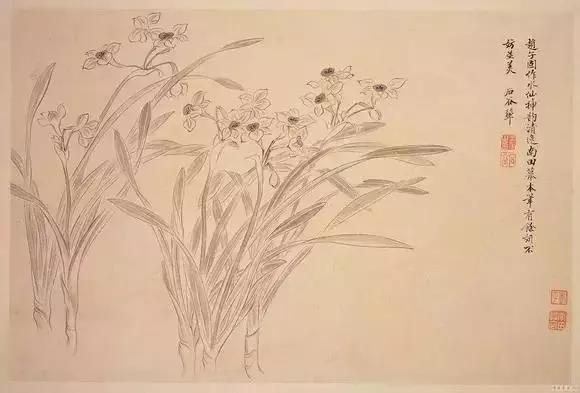 分享几组简单实用的写意花鸟画法,国画教程花鸟基本画法值得珍藏