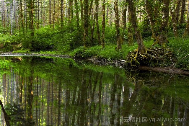 用权重约束减轻深层网络过拟合｜附,Keras实现代码