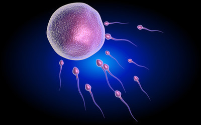 治疗射精无力要多少钱