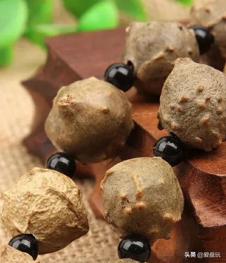 这张菩提子家谱，囊括30种，很少能有人认全