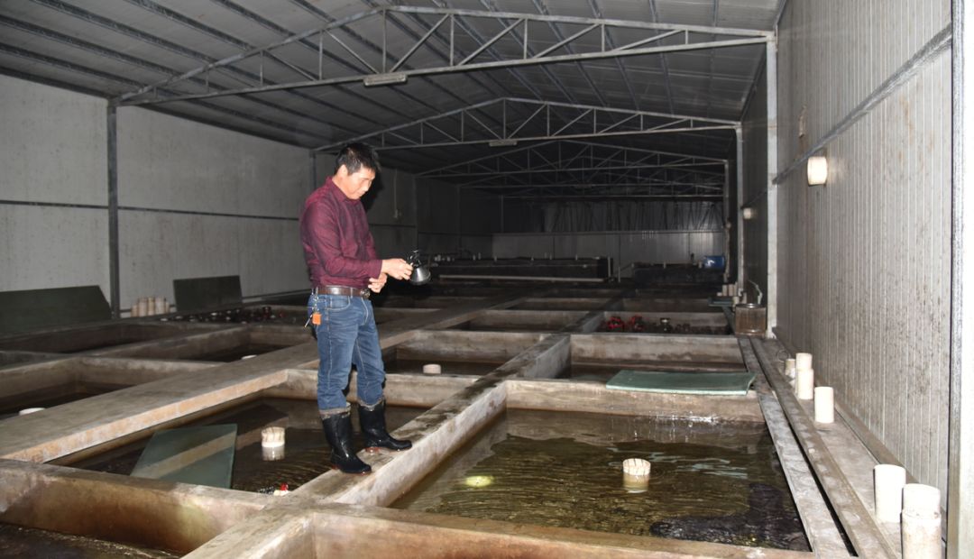 从保护动物到人工养殖，成为美食！鼎湖的绿水青山锻造千万商机