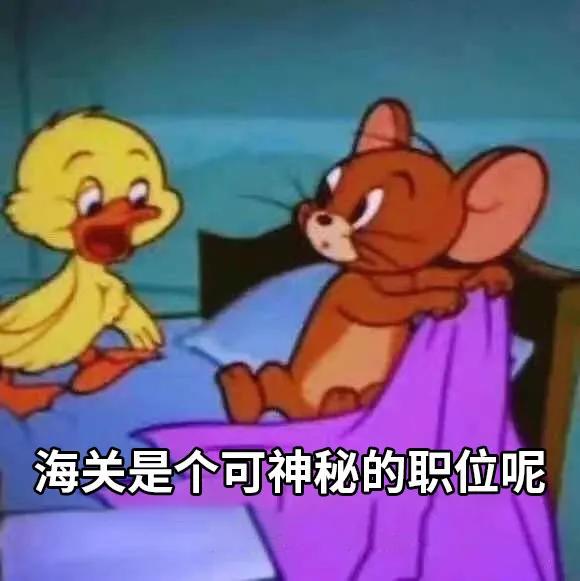 国考海关职位好吗,国考海关和税务哪个好