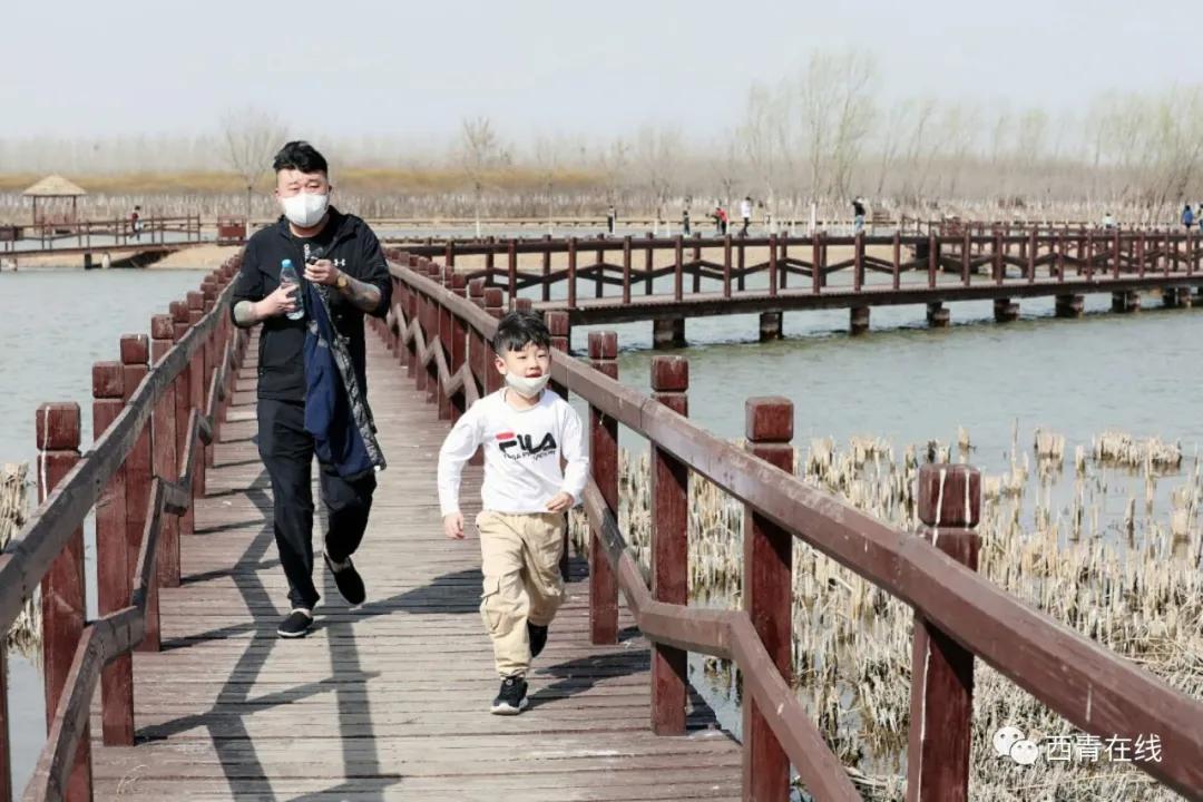 天津东疆港亲海公园今天开放吗,天津将新添一座公园预计开放时间