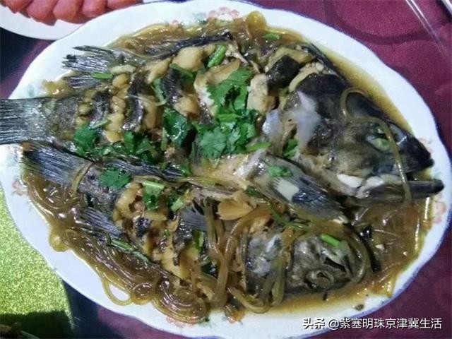 大钦岛旅游渔家乐,夏天最美的海边风景